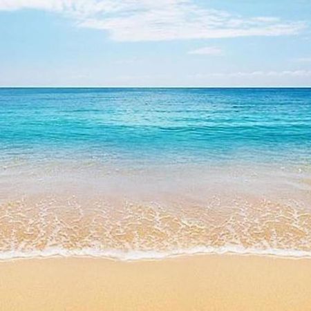 Beach House ***** サラウツ エクステリア 写真