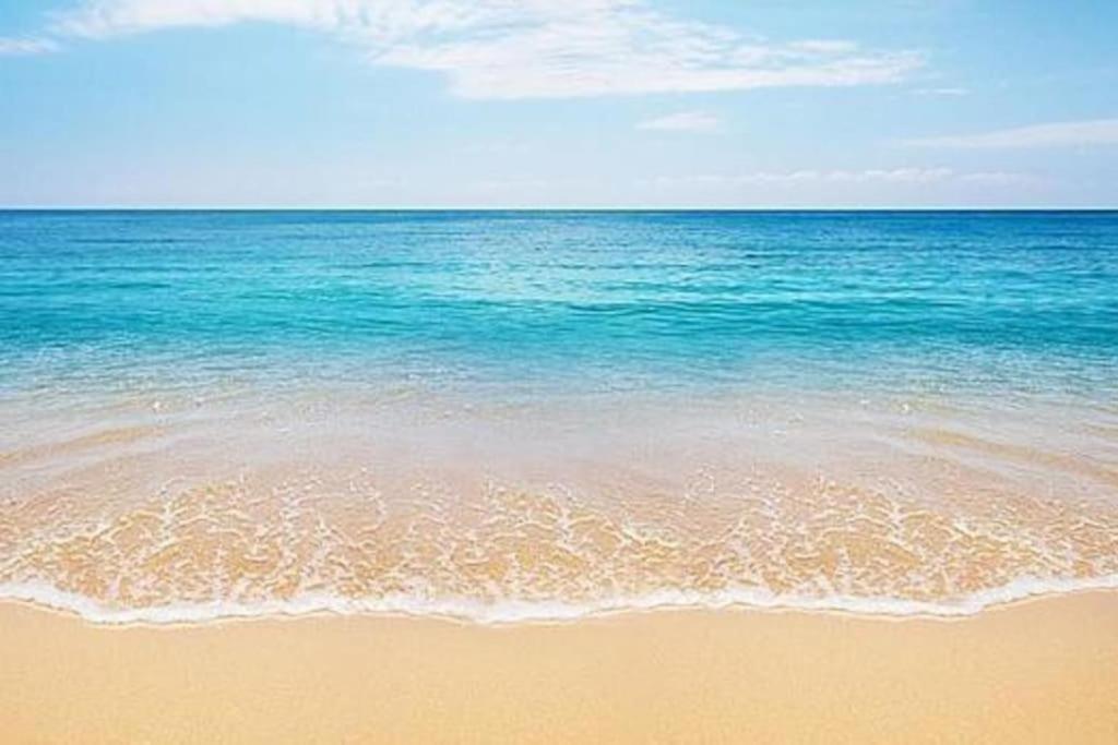 Beach House ***** サラウツ エクステリア 写真